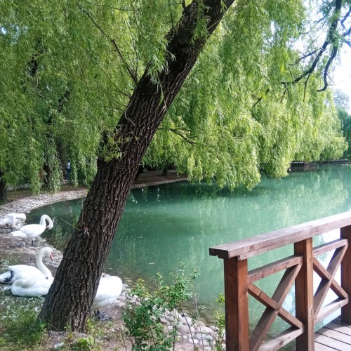 Владикавказ: архитектура, культура, городские истории