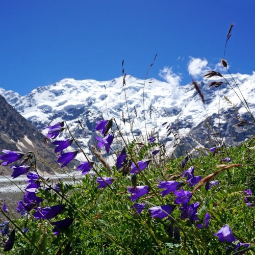 Перезагрузка в Безенги с проживанием в палатках: треккинг к ледникам, водопадам и диким турам