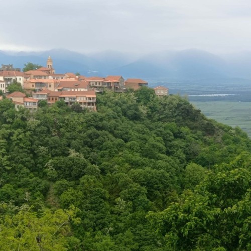 Кавказское ассорти со вкусом вина: путешествие по Грузии и 6 живописным ущельям Осетии