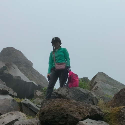 На лошадях к Корякскому вулкану с палатками. Всё включено