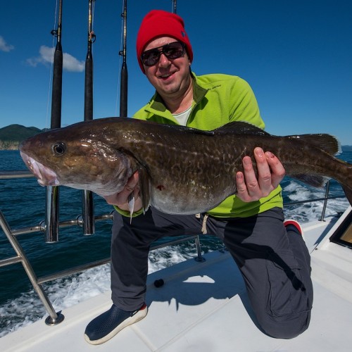 Активный отпуск на Камчатке: восхождение на вулкан, морская прогулка, сплав, баня