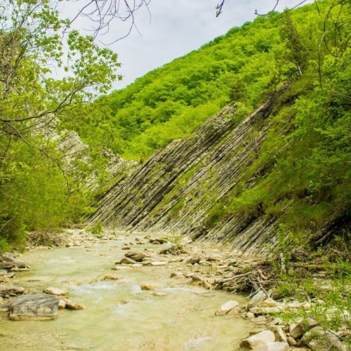 Запах разнотравья и никого вокруг: поход с рюкзаками по долине реки Пшада (всё включено)