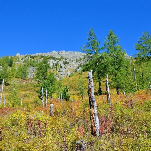 Насыщенная поездка в инопланетный край: сплав по Катуни, Телецкое озеро и долина Чулышман
