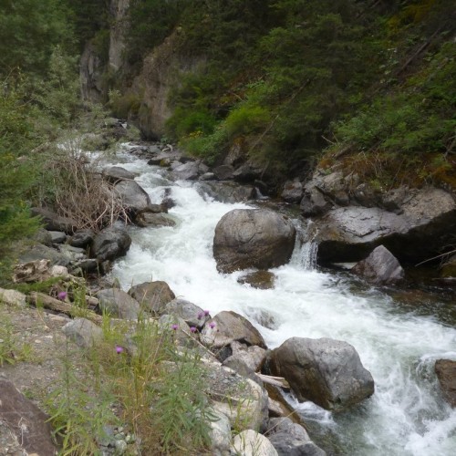 Большое алтайское приключение