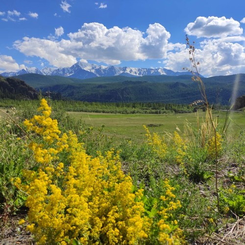 Влюбиться в Алтай: насыщенное путешествие в мини-группе