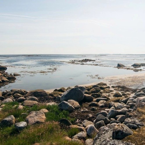 Перезагрузка на Соловках: тур для гостей из Москвы