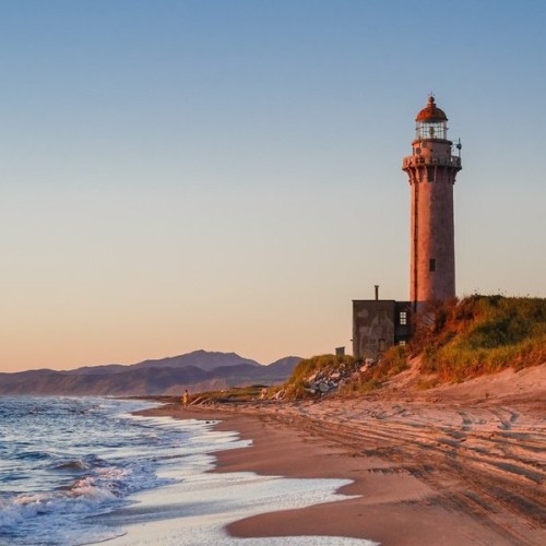 За деликатесами и к сивучам на Сахалин