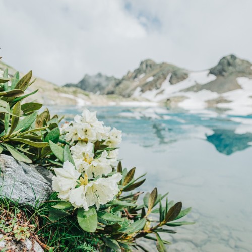 Пешком налегке: исследуем природные красоты Архыза