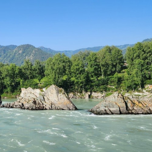 В сиреневом море цветов: весенний автотур по Чуйскому тракту