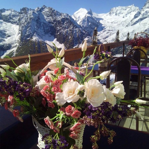 Лёгкий треккинг в горах Домбая с комфортом