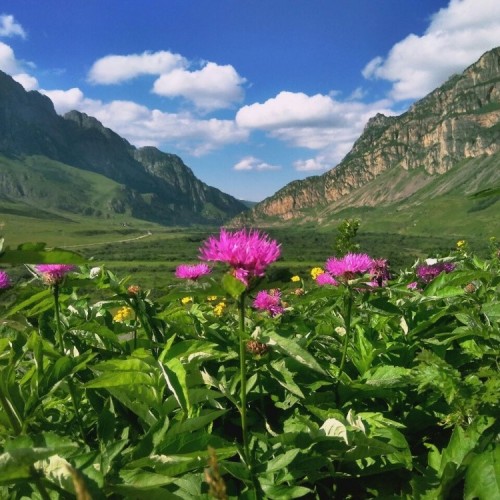 За раз весь Северный Кавказ: большое путешествие по всем республикам