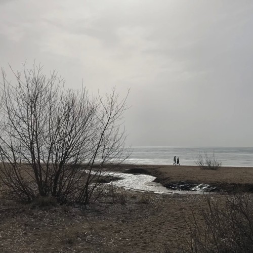 Комарово и дачный Петербург