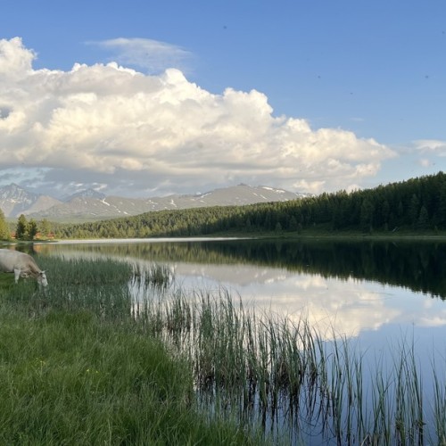 Хайкинг по главным местам Алтая: горы, озёра и водопады