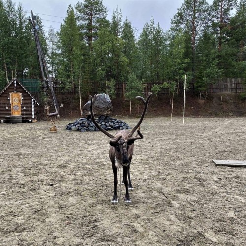 Очарование Севера: этнодеревня, Териберка и столица Арктики в мини-группе