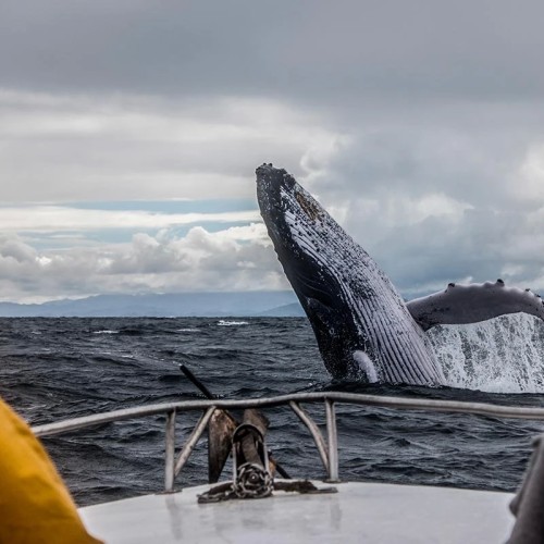 За атмосферой Арктики: тур из Мурманска в Териберку с дегустацией и прогулками по главным местам