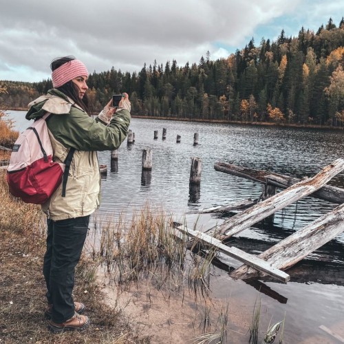 Детокс в Карелии: место силы, дары леса и походная романтика (всё включено)