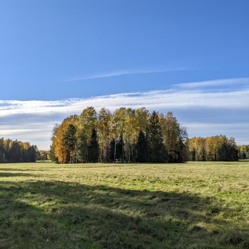 Неповторимое очарование Павловского парка: экскурсия на велосипеде