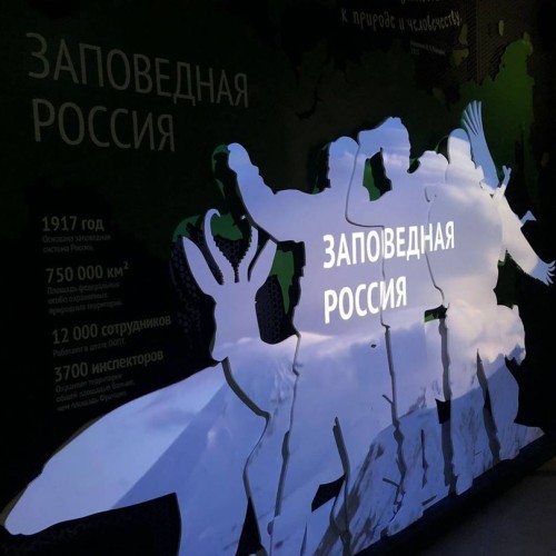 Спа-тур на Камчатку с релаксом в термах: вулканы, погружение в культуру и гастрономия