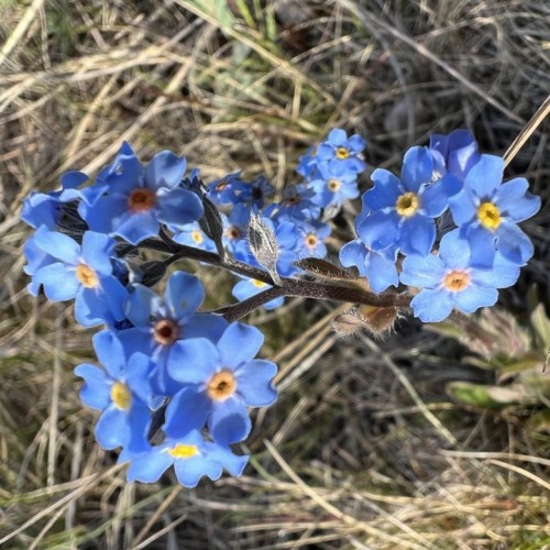 Шёпот волн, арктические дали, поморские селения: перезагрузка на Терском берегу