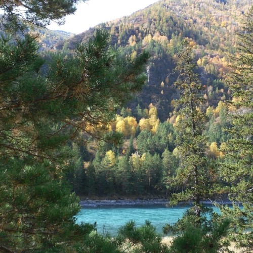 Сказочный Алтай: местные промыслы и природные достопримечательности