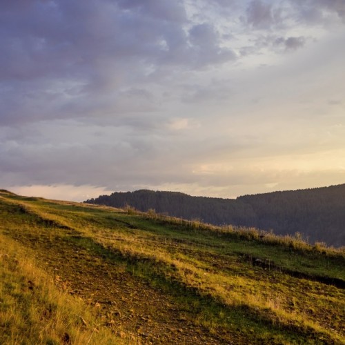 Всё включено в заповедной Башкирии с проживанием в модульном доме и душевной лепкой пельменей