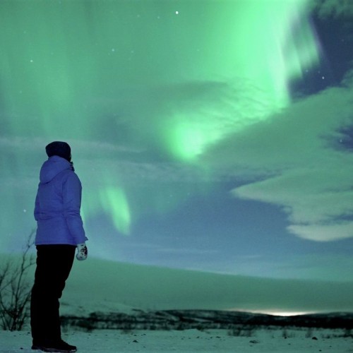 Тур за полярным кругом: Мурманск и Териберка в мини-группе