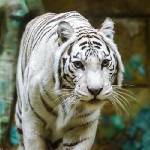 Семейное путешествие в Москву: прогулка с фонарщиком, детективная экскурсия и «Мосфильм»