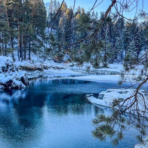 Экскурсия, фотосессия и съёмка рилс в топовых локациях Чемальского района