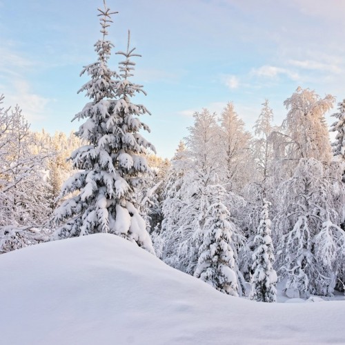 Карелии снежный узор: топовые места, зимние активности и прогулки на природе