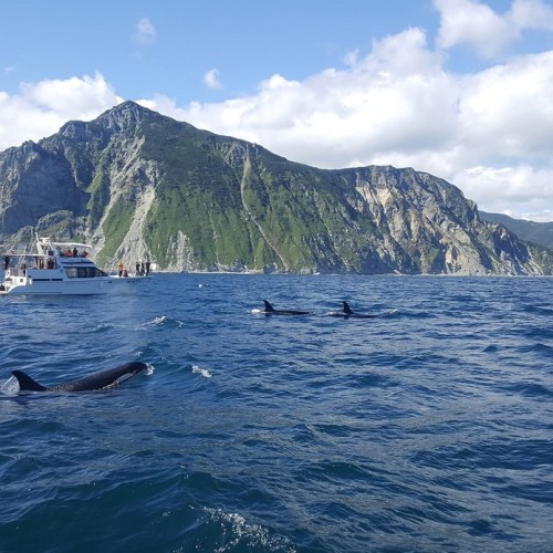 В объятиях Камчатки: лёгкое и комфортное знакомство