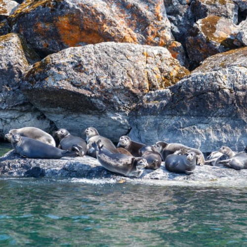 Вкусы и народы Байкала: активный этногастротур в мини-группе с комфортом