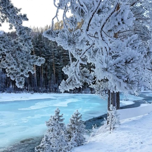 Чемал – легенды и реальность