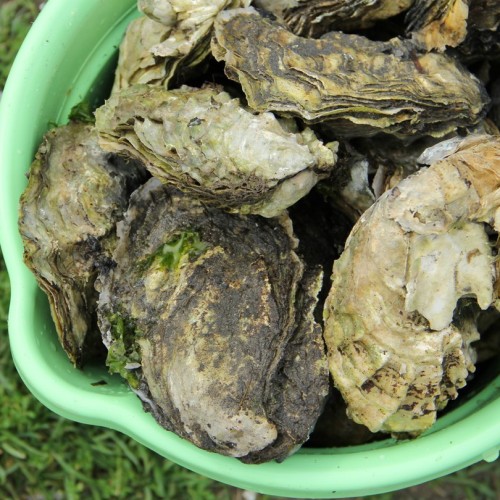 Объятый ветрами: автопутешествие по знаковым локациям Сахалина