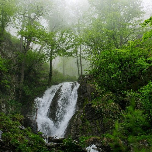 Треккинг к водопаду Кейва и фотосессия