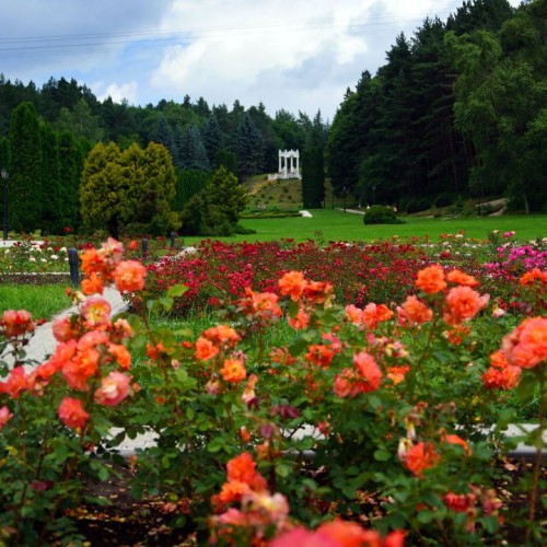 Отдых на водах: спа-тур на Кавказ с купанием в термах и отелем 4*. Домбай, Эльбрус и города КМВ