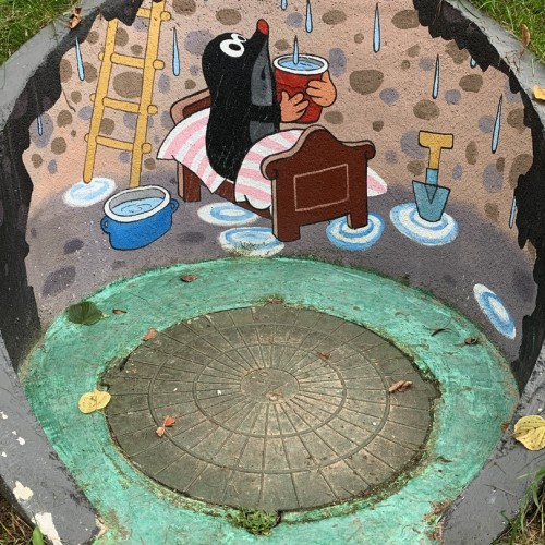 Индивидуальное путешествие по Калининграду и балтийским берегам