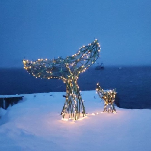 Перезагрузка на Кольском: видеть, чувствовать, удивляться