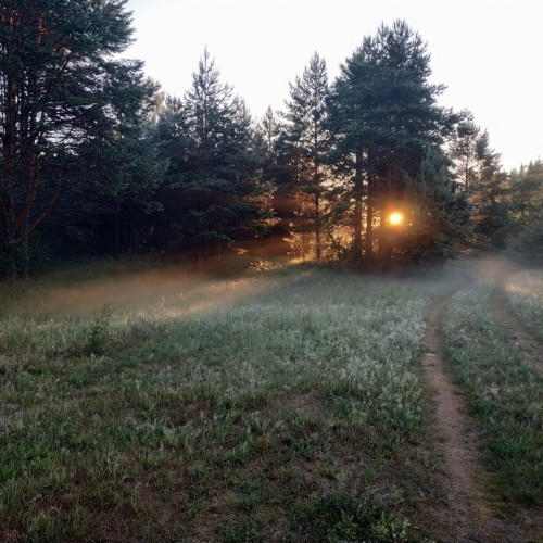 Очарование Медведицы: лёгкий сплав на байдарках (всё включено)