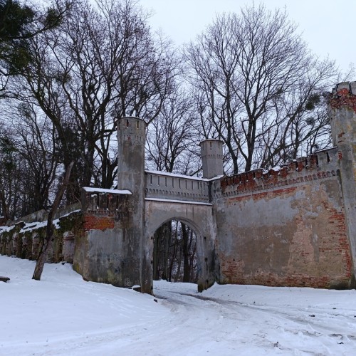 Прусские воительницы и великие полководцы 19 века