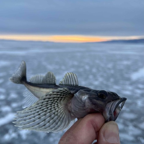 Зимняя рыбалка на льду Байкала своей компанией