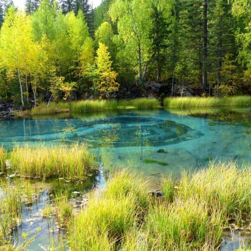 Алтай: топовые места и скрытые уголки