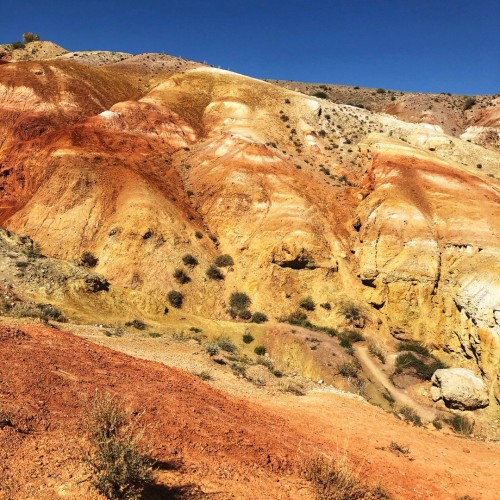 Затаив дыхание: тур по захватывающим алтайским достопримечательностям