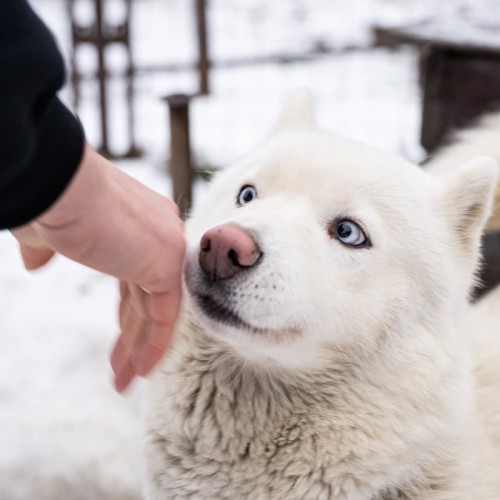 Карельские выходные в своей компании: «Марциальные Воды», «Кивач» и дополнительные активности