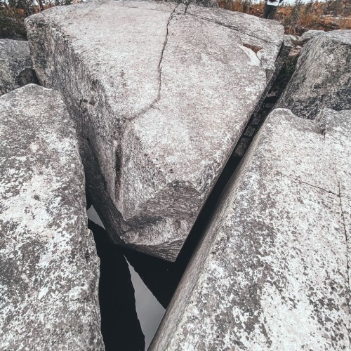 Детокс в Карелии: место силы, дары леса и походная романтика (всё включено)