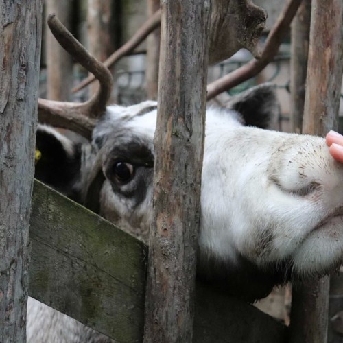 Северный экспресс-тур в мини-группе: Мурманск, Териберка и дополнительные активности на выбор