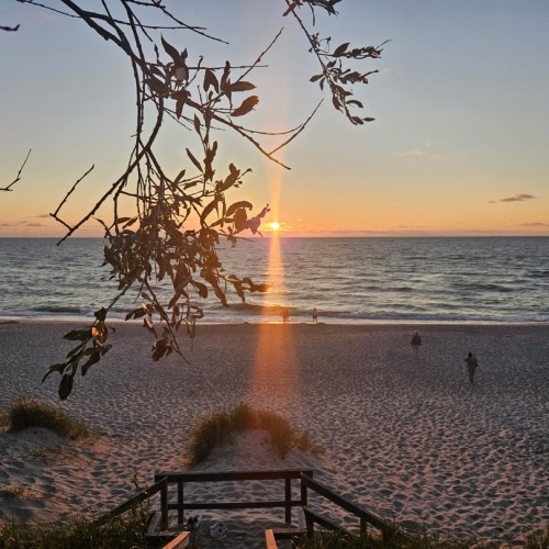 Индивидуальная поездка в Калининград: Балтийск, Светлогорск, Зеленоградск и Куршская коса