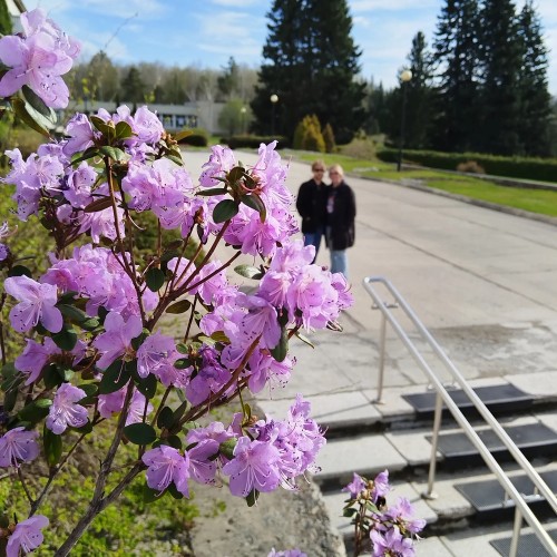 Фотопрогулка по Ботаническому саду Академгородка