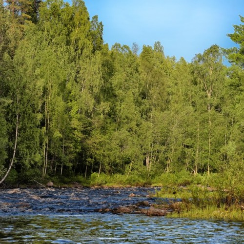 На фэтбайках к рекам и водопадам Карелии