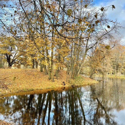 Царское Село: дворец с Янтарной комнатой, Екатерининский парк и лицей