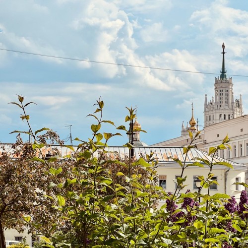 Неожиданная Москва: прогулка по дворикам и переулкам с загадками и полароидом